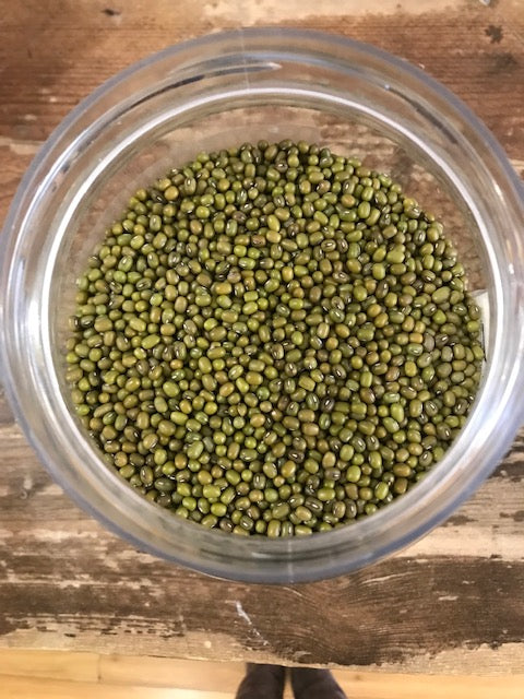 Organic Mung Beans