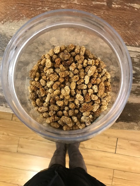 Organic White Mulberries