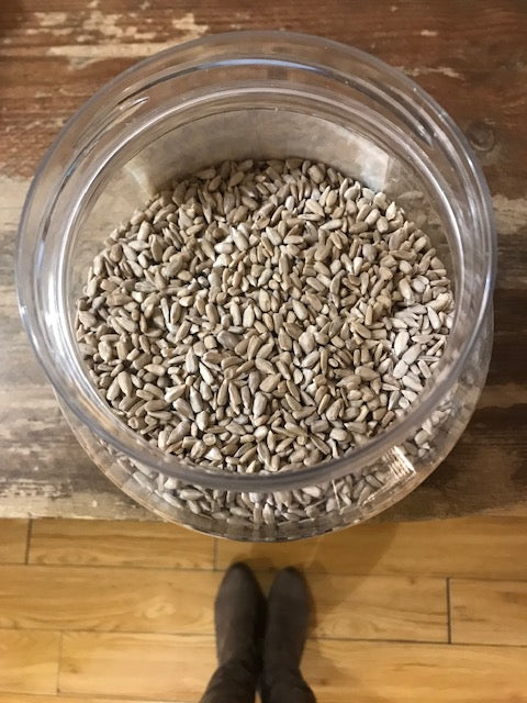 Organic hulled sunflower seeds