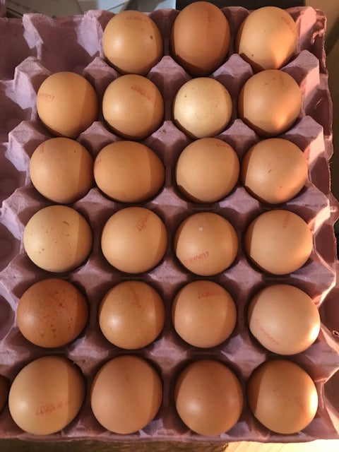Organic Free Range Eggs from Wiltshire