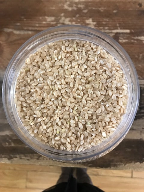 Organic Short Grain Rice