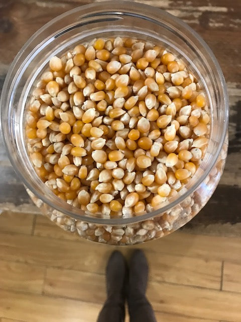 Organic Popcorn Kernals