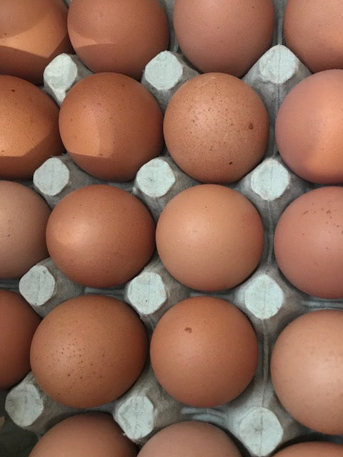 Organic Loose Free Range Eggs
